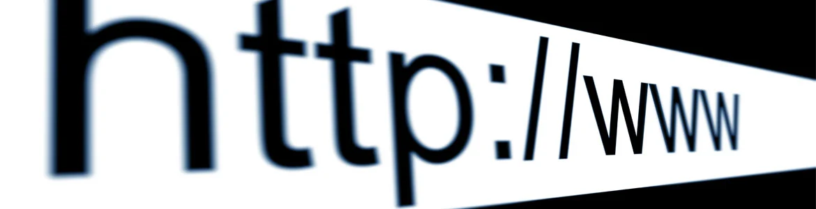Elige un nombre de dominio y una plataforma de blogs Elige un nombre de dominio y una plataforma de blogs